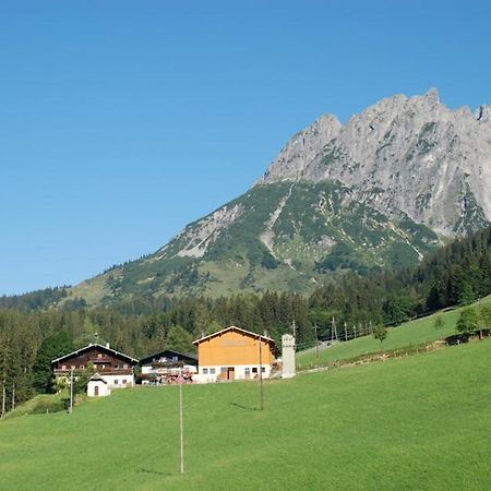 Ferienbauernhof Elmaugut Villa Mühlbach am Hochkönig Екстериор снимка
