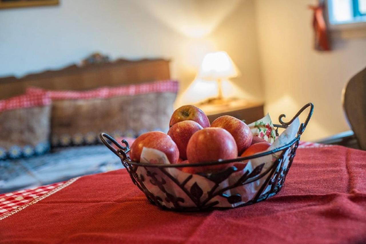 Ferienbauernhof Elmaugut Villa Mühlbach am Hochkönig Екстериор снимка